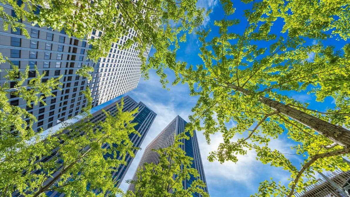 Embrace Green Commercial Cleaning Practices